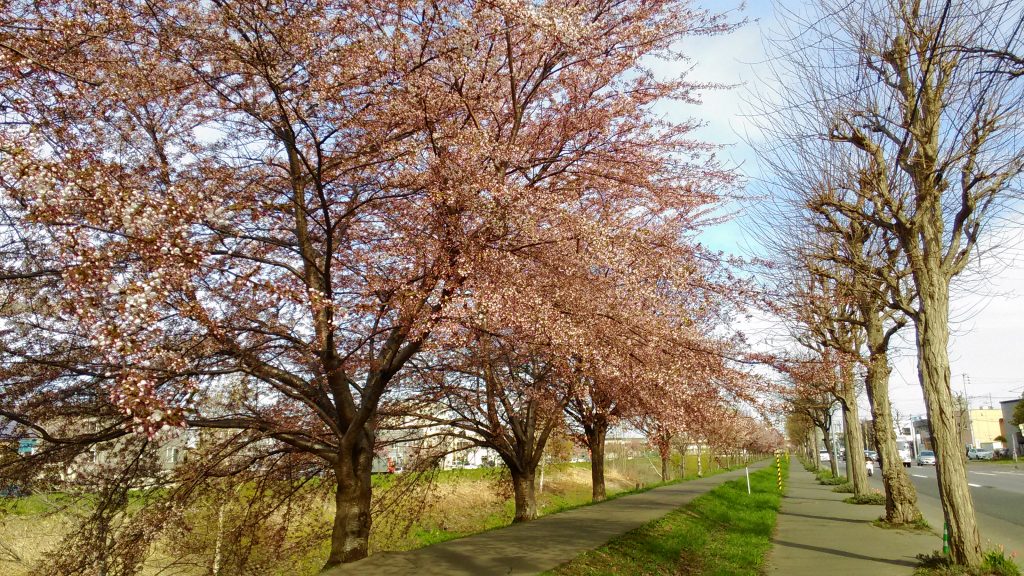 P_20160502_074650